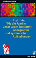 Wie die Familie unser Leben bestimmt – Genogramm und systemische Aufstellungen