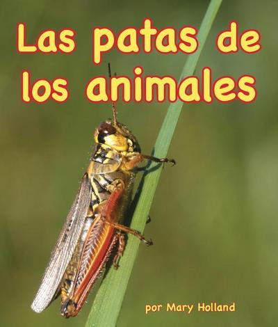 Patas de Los Animales (Animal Legs)