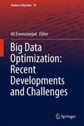 Big Data Optimization: Recent Developments and Cha