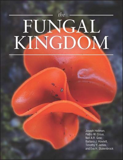 The Fungal Kingdom