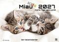 Miau Kids - kleine Tiger ganz groß - Der Katzenkalender 2027