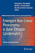 Emergent Nonlinear Phenomena in Bose-Einstein Condensates