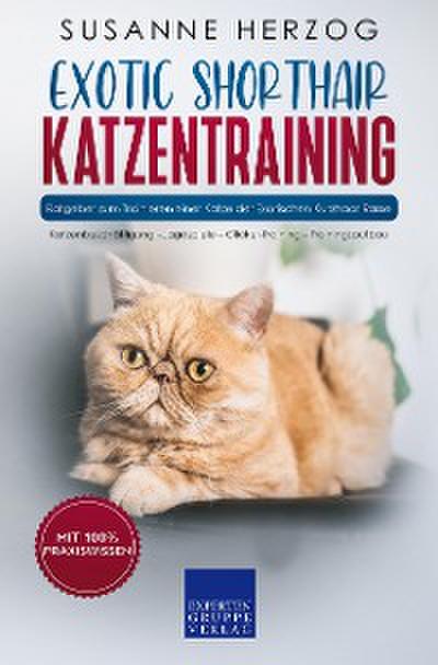 Exotic Shorthair Katzentraining - Ratgeber zum Trainieren einer Katze der Exotischen Kurzhaar Rasse