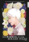 Der Sommer, in dem Hikaru starb Roman 1