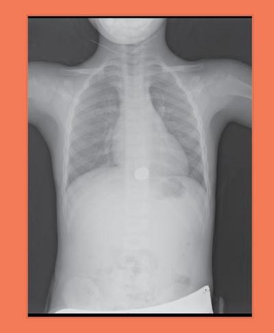 Magid, J: Jill Magid