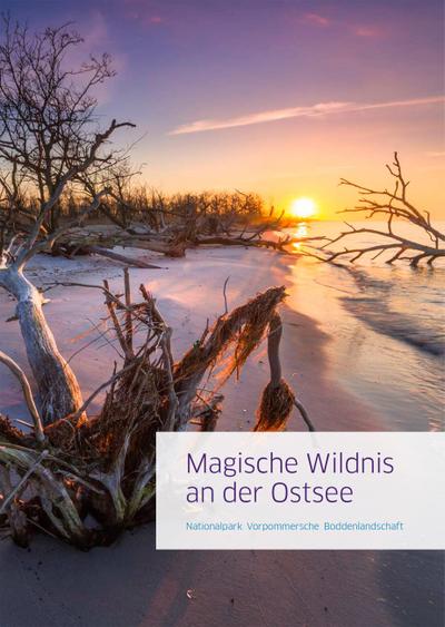 Magische Wildnis an der Ostsee