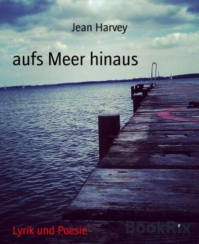 aufs Meer hinaus