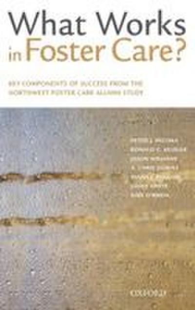 What Works in Foster Care?