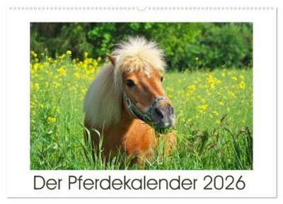 Der Pferdekalender (Wandkalender 2026 DIN A2 quer), CALVENDO Monatskalender