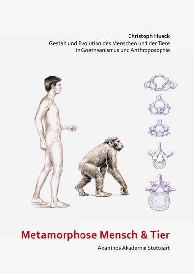 Metamorphose Mensch und Tier
