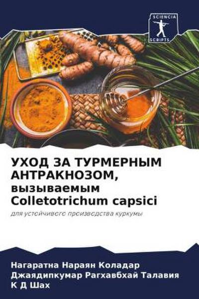 UHOD ZA TURMERNYM ANTRAKNOZOM, wyzywaemym Colletotrichum capsici