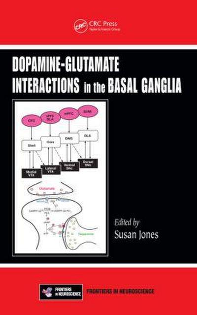 Dopamine - Glutamate Interactions in the Basal Ganglia