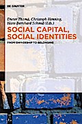 Social Capital, Social Identities