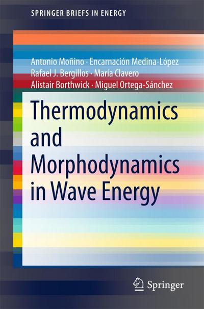 Thermodynamics and Morphodynamics in Wave Energy