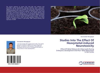 Studies Into The Effect Of Heavymetal-induced Neurotoxicity