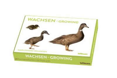 Wachsen, Kunstkartenbox