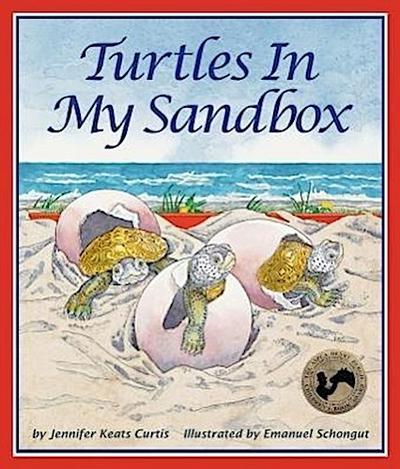 Turtles in My Sandbox