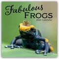 Fabulous Frogs - Fabelhafte Frösche 2026 - 16-Monatskalender von  | sonst. Bücher