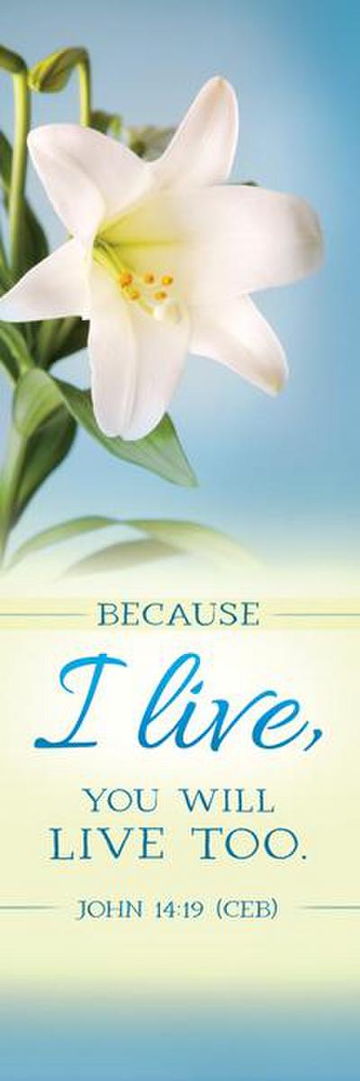 Because I Live - Bookmark - Easter - John 14:19