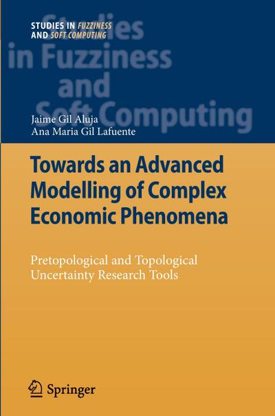 Towards an Advanced Modelling of Complex Economic Phenomena