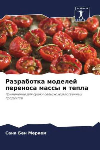 Razrabotka modelej perenosa massy i tepla