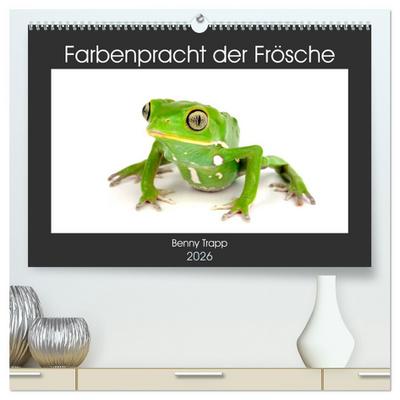 Farbenpracht der Frösche (hochwertiger Premium Wandkalender 2026 DIN A2 quer), Kunstdruck in Hochglanz