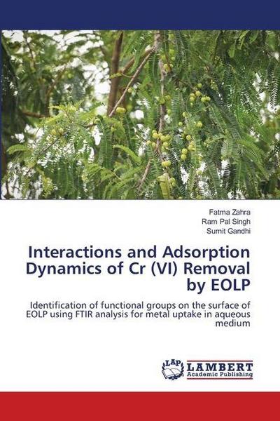 Interactions and Adsorption Dynamics of Cr (VI) Removal by EOLP
