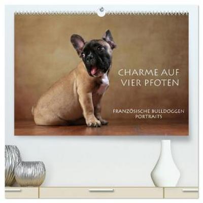 Charme auf vier Pfoten - Französische Bulldoggen Portraits (hochwertiger Premium Wandkalender 2026 DIN A2 quer), Kunstdruck in Hochglanz