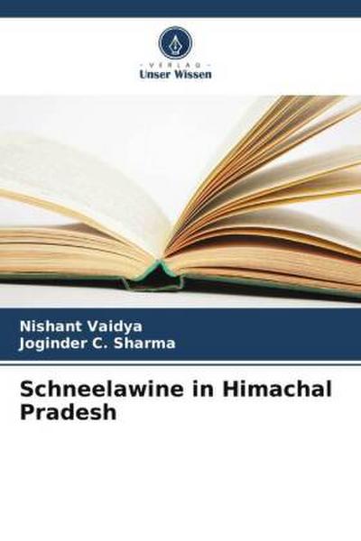 Schneelawine in Himachal Pradesh