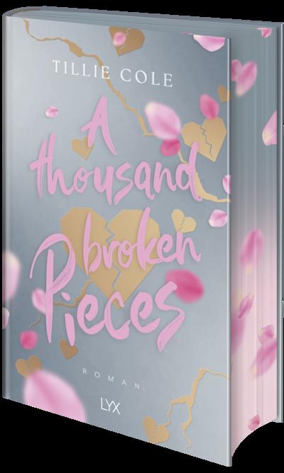 A Thousand Broken Pieces: Special Edition