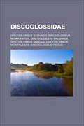 Discoglossidae