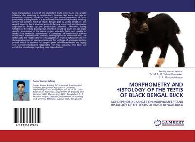 MORPHOMETRY AND HISTOLOGY OF THE TESTIS OF BLACK BENGAL BUCK