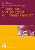 Theorien der Sozialpädagogik - ein Theorie-Dilemma?