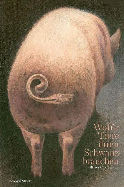 Wofür Tiere ihren Schwanz brauchen