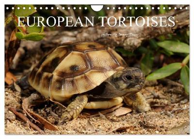 European Tortoises / UK-Version (Wall Calendar 2027 DIN A4 landscape), CALVENDO 12 Month Wall Calendar