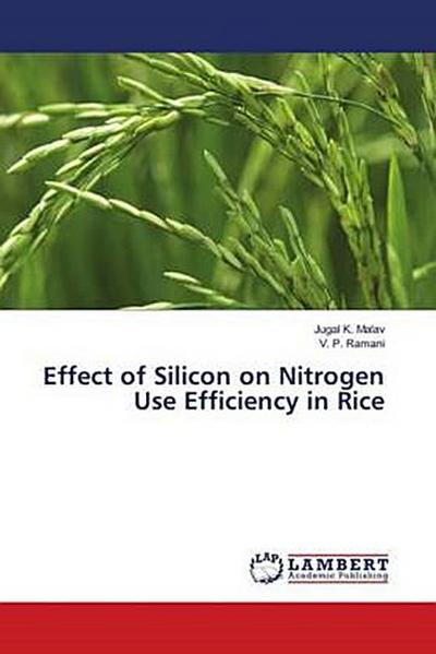 Effect of Silicon on Nitrogen Use Efficiency in Rice