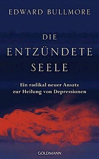 Die entzündete Seele