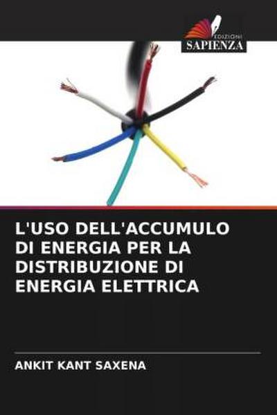 L’USO DELL’ACCUMULO DI ENERGIA PER LA DISTRIBUZIONE DI ENERGIA ELETTRICA
