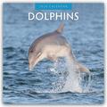 Dolphins - Delfine 2026 - 16-Monatskalender