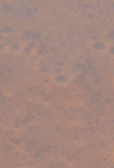 Sämtliche Werke - Band 12/II- Sonderausgabe- Musikalische Schriften- Herausgegeben von Ferdinand van Ingen und Hans-Gert Roloff