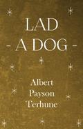 Lad - A Dog