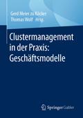 Clustermanagement in der Praxis: Geschäftsmodelle