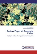 Review Paper of Acalypha indica