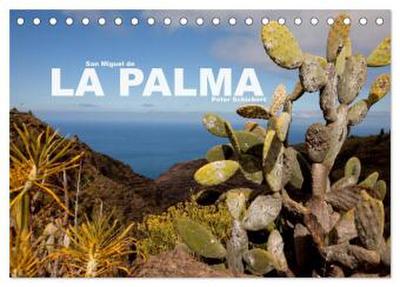 San Miguel de la Palma (Tischkalender 2026 DIN A5 quer), CALVENDO Monatskalender