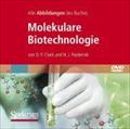 Bild-DVD, Molekulare Biotechnologie, Die Abbildungen des Buches: Grundlagen und Anwendungen: Für Windows 98/98SE/98ME/NT4.0 SP2/2000/XP/Vista und Mac OS 9/OS X