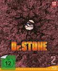 Dr. Stone