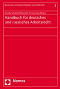 Handbuch für deutsches und russisches Arbeitsrecht