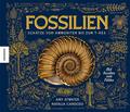 Fossilien – Schätze von Ammoniten bis zum T. Rex: 