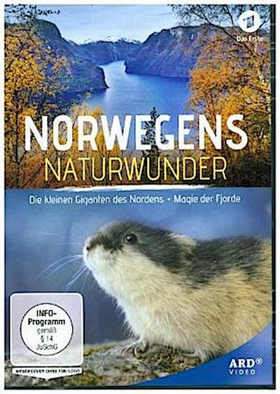 Norwegens Naturwunder: Die kleinen Giganten des Nordens & Magie der Fjorde