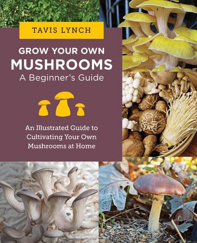 Grow Your Own Mushrooms: A Beginner’s Guide